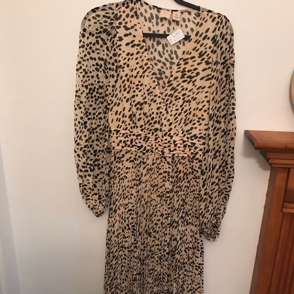 NWT Zara long dress. Beautiful dress